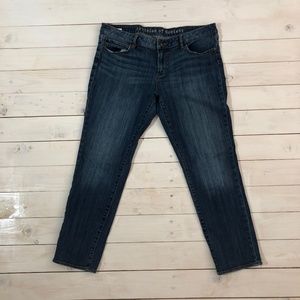 ARTICLES OF SOCIETY Low Rise Denim Skinny Jeans